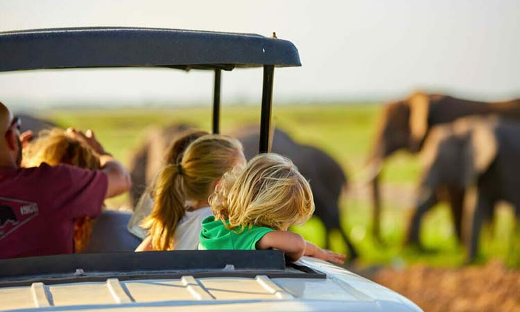 5 Family-Friendly Safari Activities