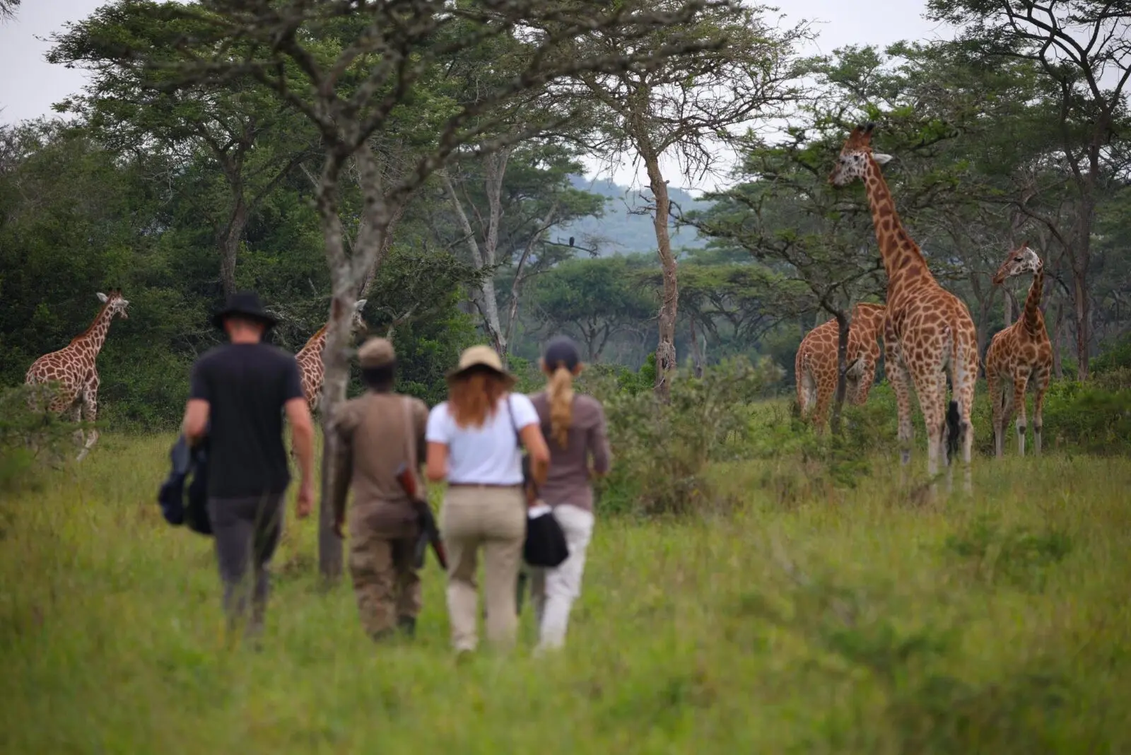5 Family-Friendly Safari Activities