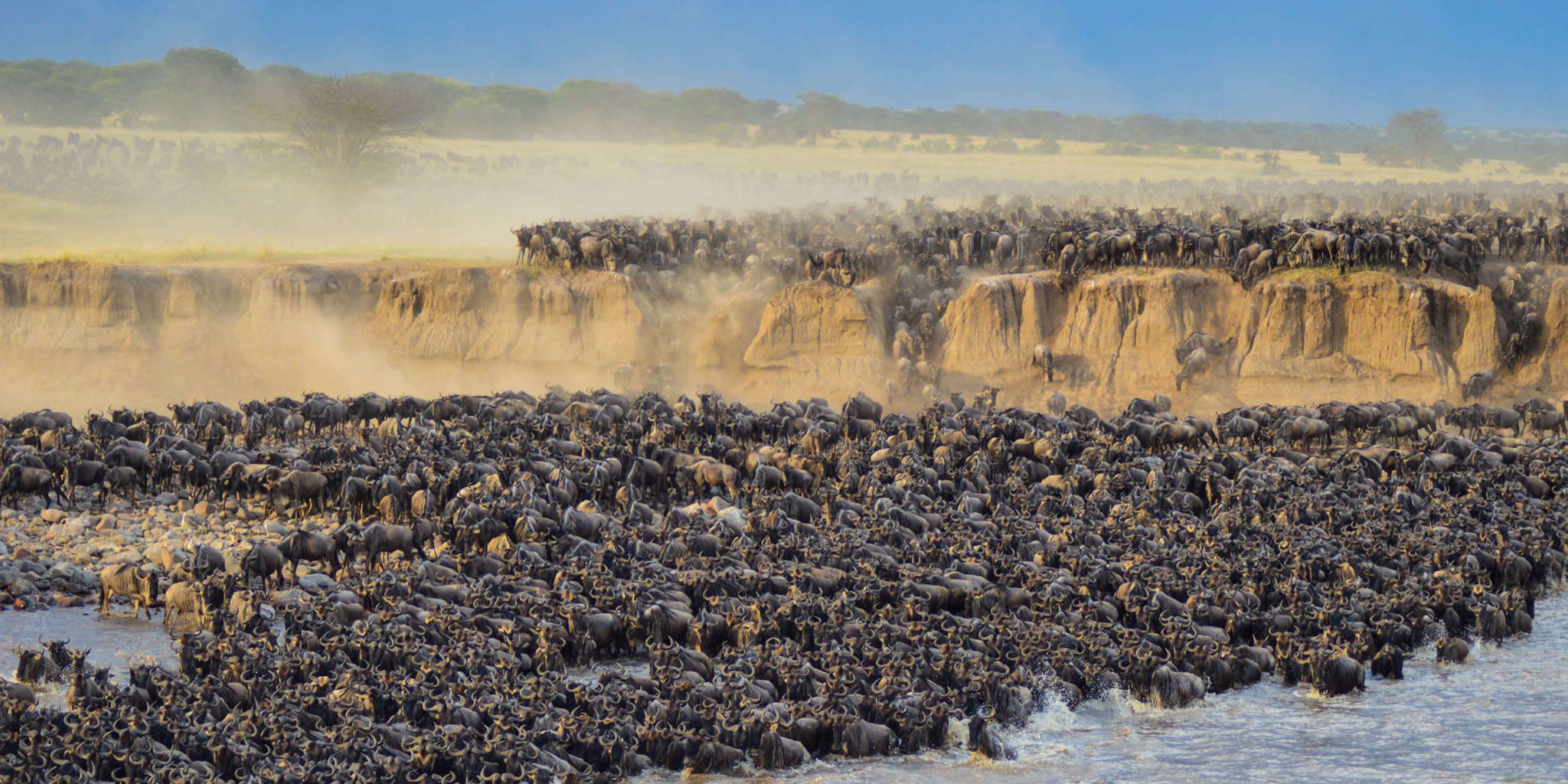 6 Reasons the Serengeti Should be on your Travel Bucket List