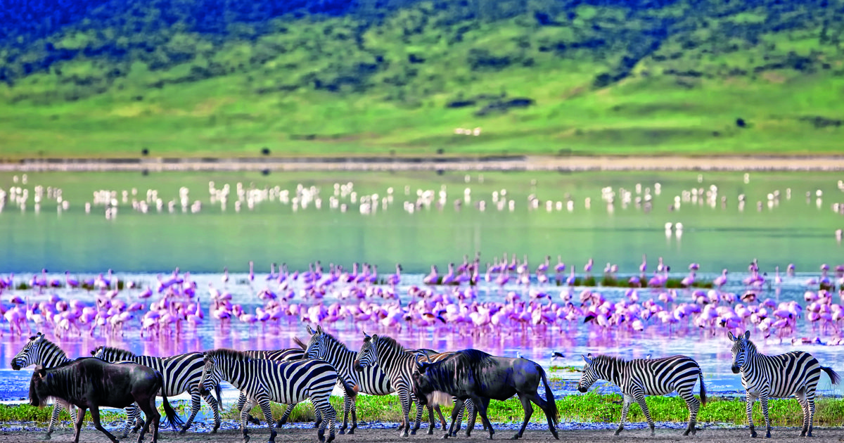 7 Reasons You Should Visit The Ngorongoro Crater.