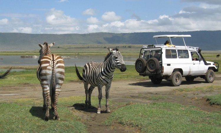 7 Tips for First-Time Safari Travelers.