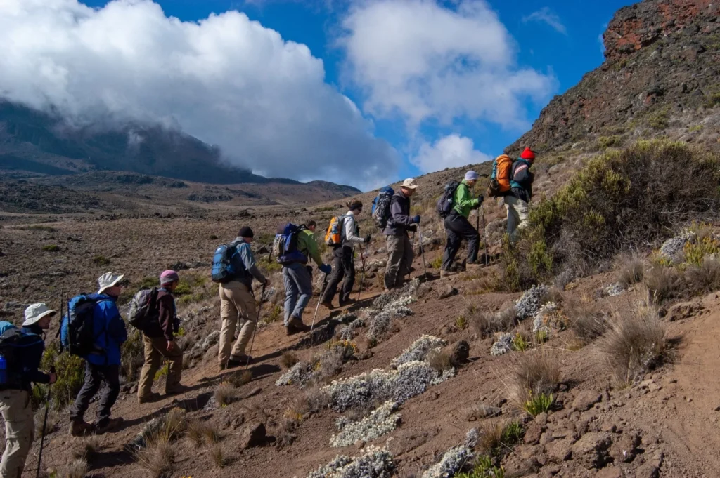 Climbing Tours in Tanzania