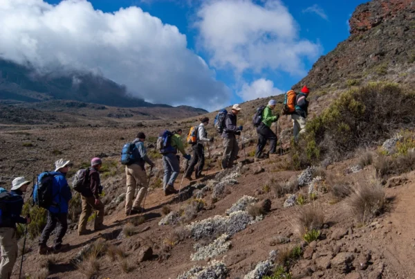 Climbing Tours in Tanzania
