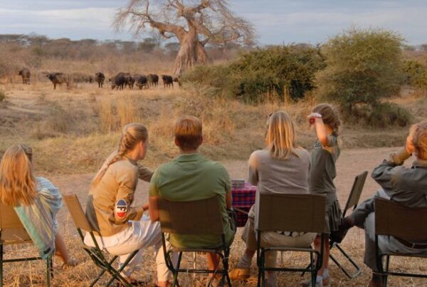 Family Safari in Tanzania