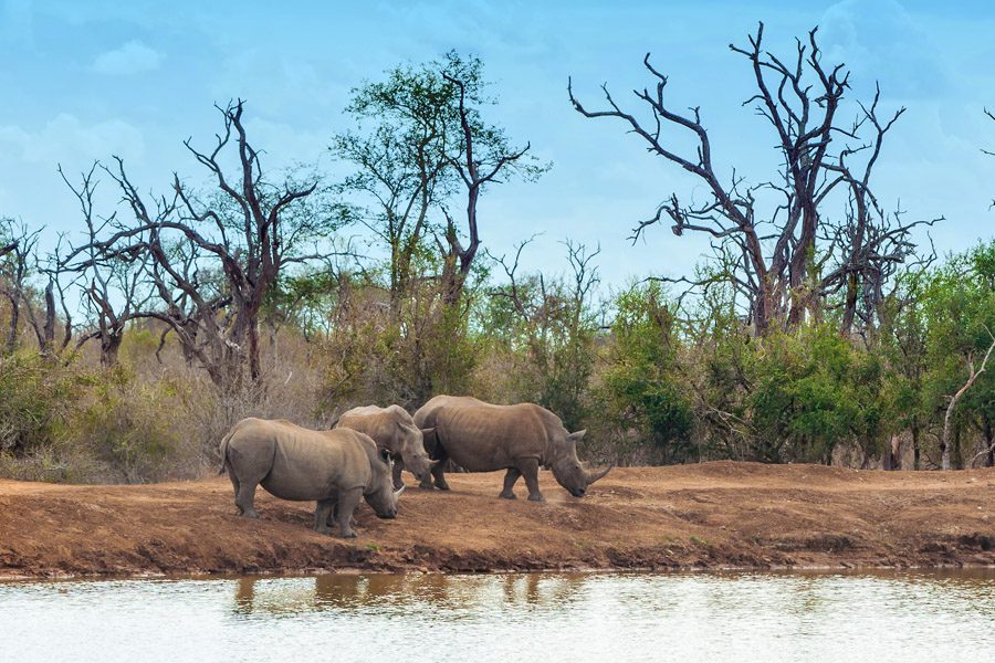 Grumeti Game Reserve