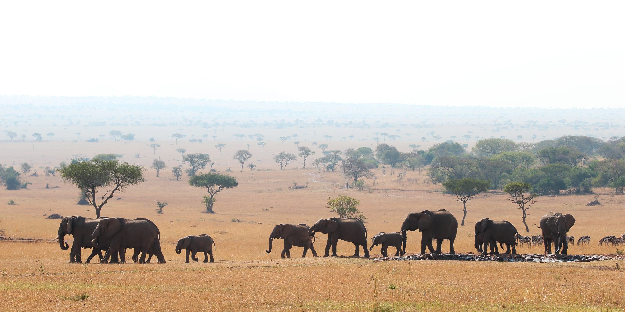 Grumeti Game Reserve