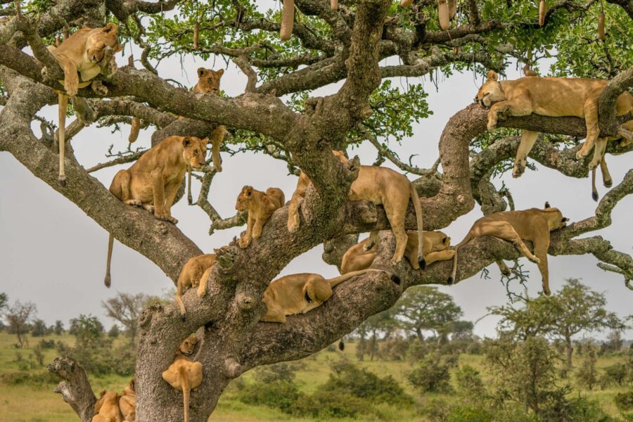 Serengeti National Park