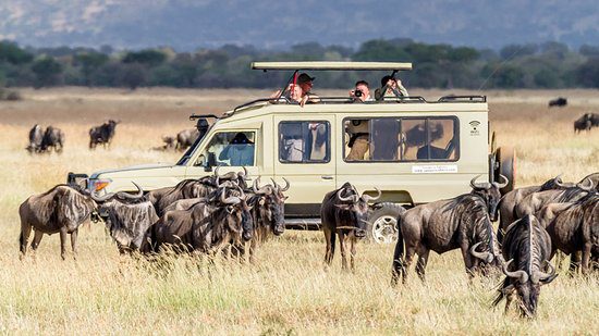 Things to Do in Serengeti National Park