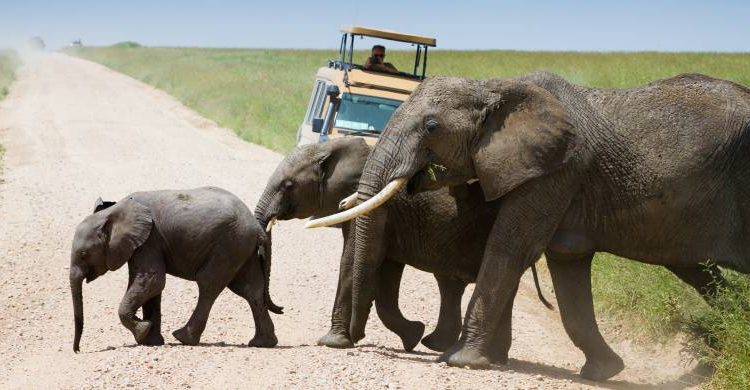 Top 5 Places to Visit in Tanzania