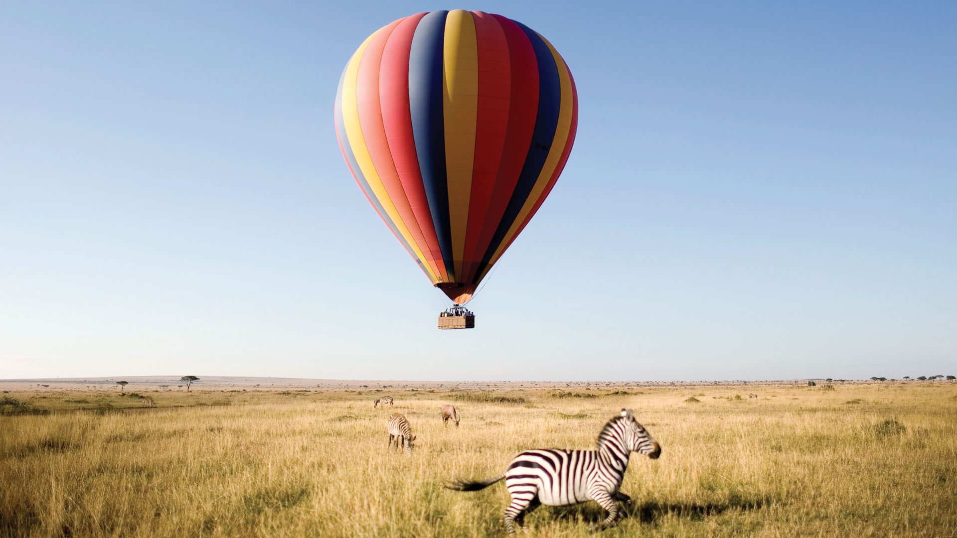 Top 5 Safari Experiences in Tanzania