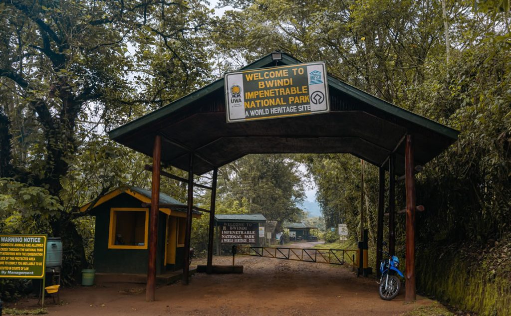 Where to go gorilla trekking destinations