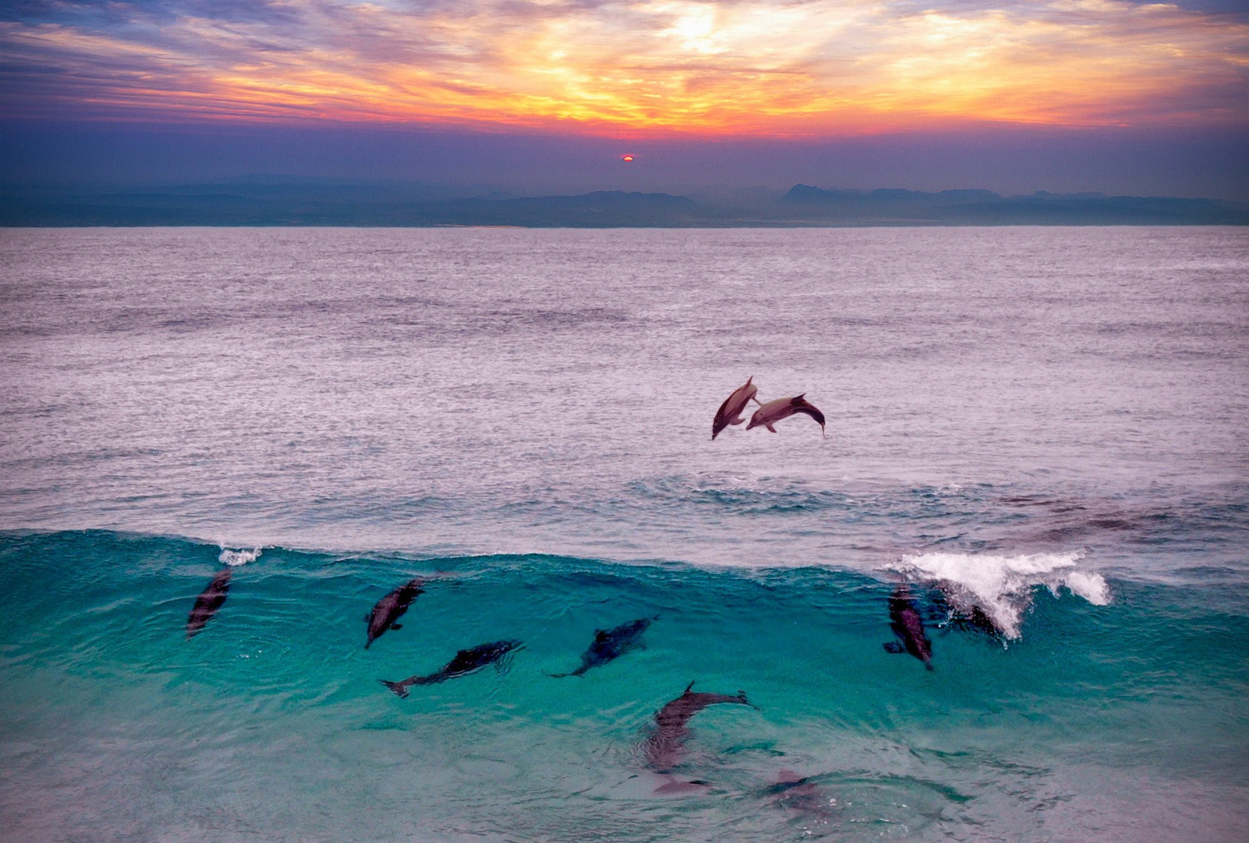 10 Days Zanzibar Beach Vacation with Diving & Dolphin Tours