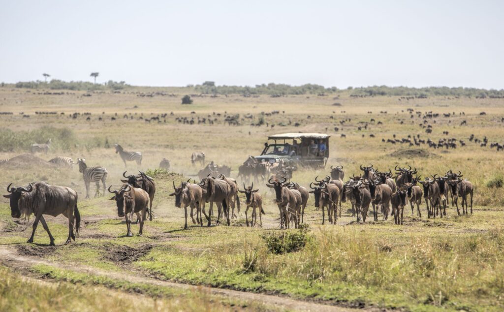 14 Days East Africa Grand Safari