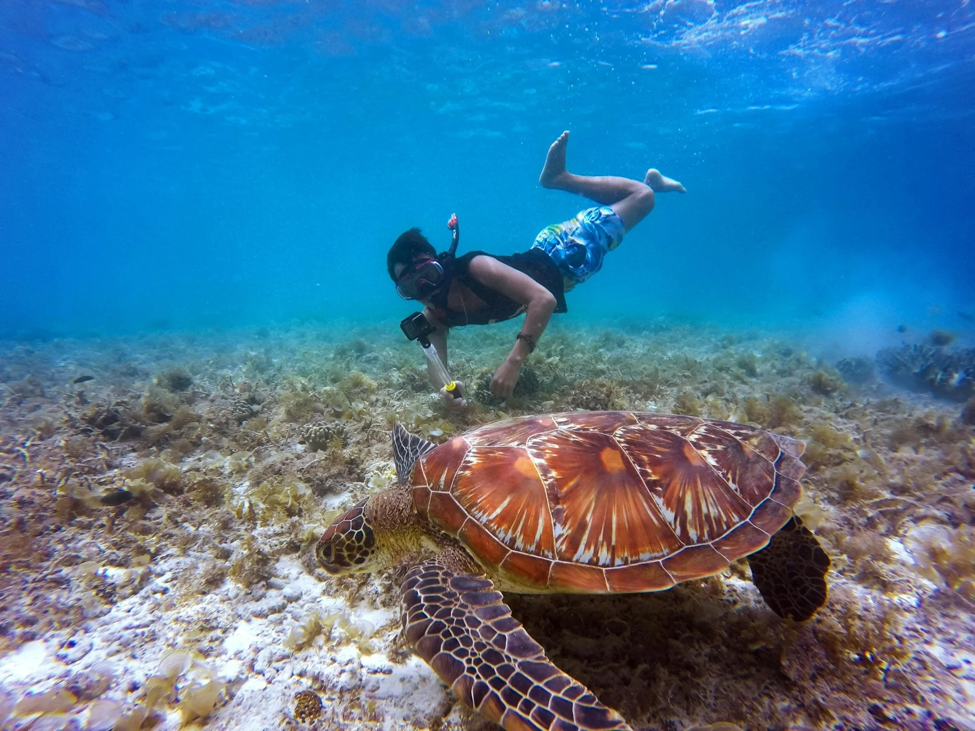 14 Days East African Wilderness Safaris & Zanzibar Beach Holidays Combo
