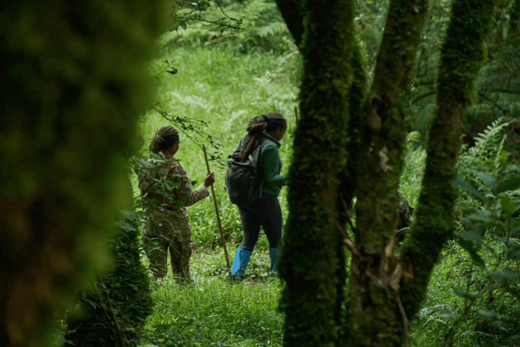 4 Days Chimpanzee Trekking & Bigodi Wetland Walk in Uganda