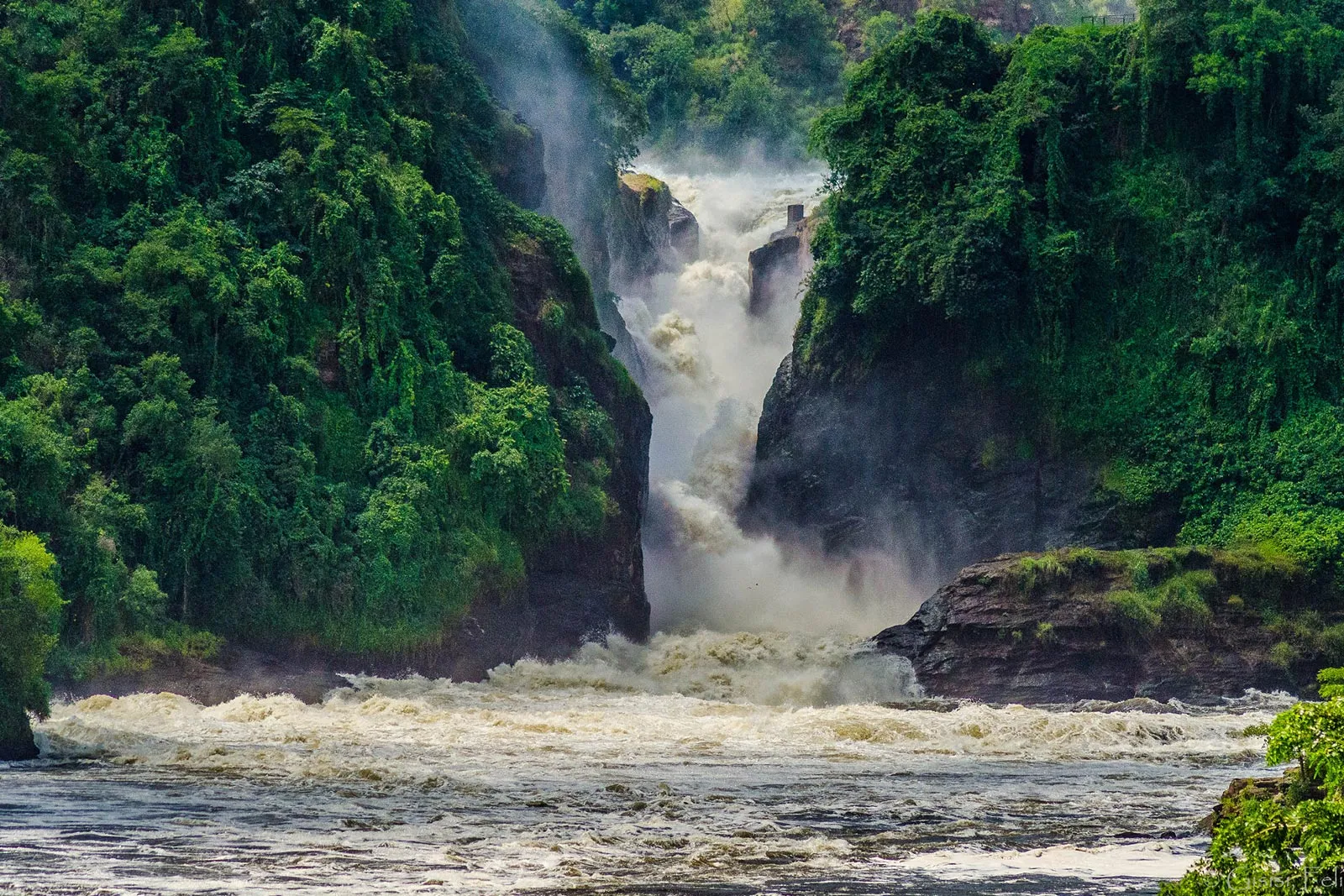 5 Days Murchison Falls & Chimpanzee Trekking