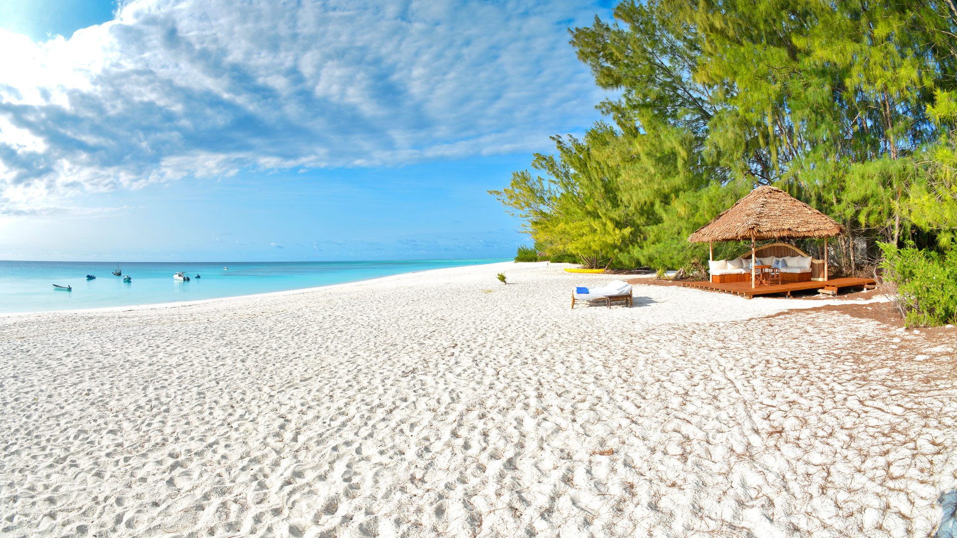 5 Distinct Activities in Zanzibar