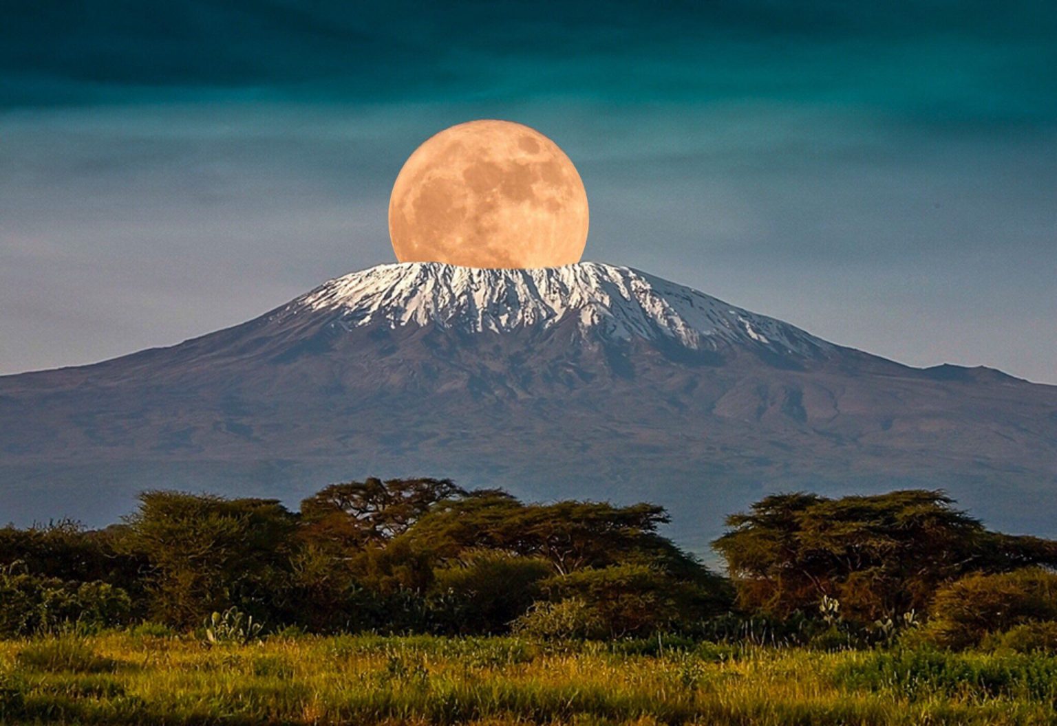 5 Great Justifications to Travel to Tanzania in 2026