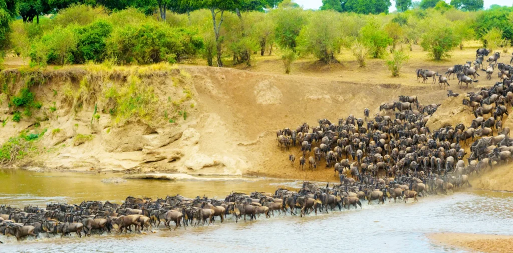 5 Great Justifications to Travel to Tanzania in 2026