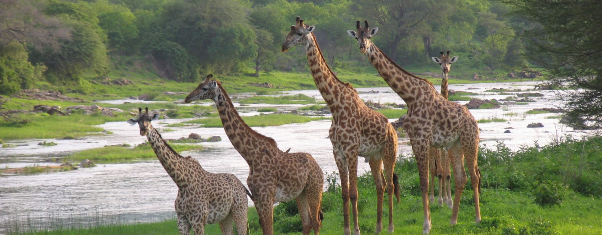 6 Astonishing Details Regarding Ruaha National Park