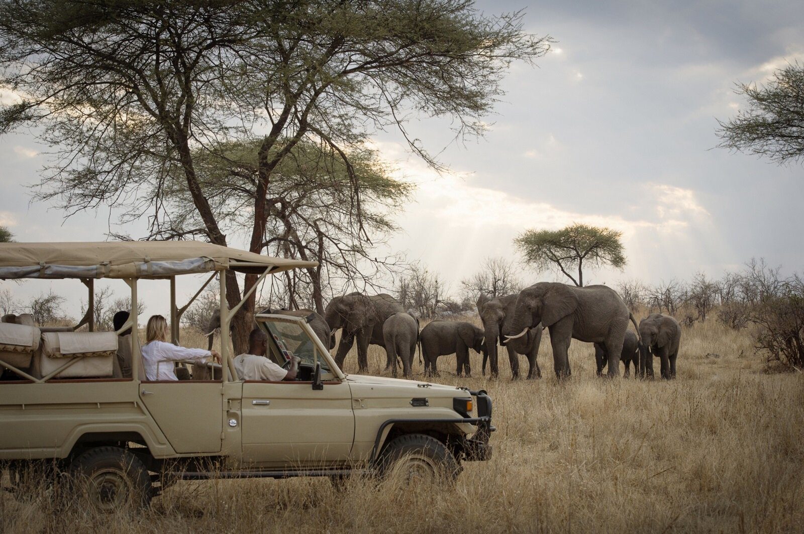 6 Astonishing Details Regarding Ruaha National Park