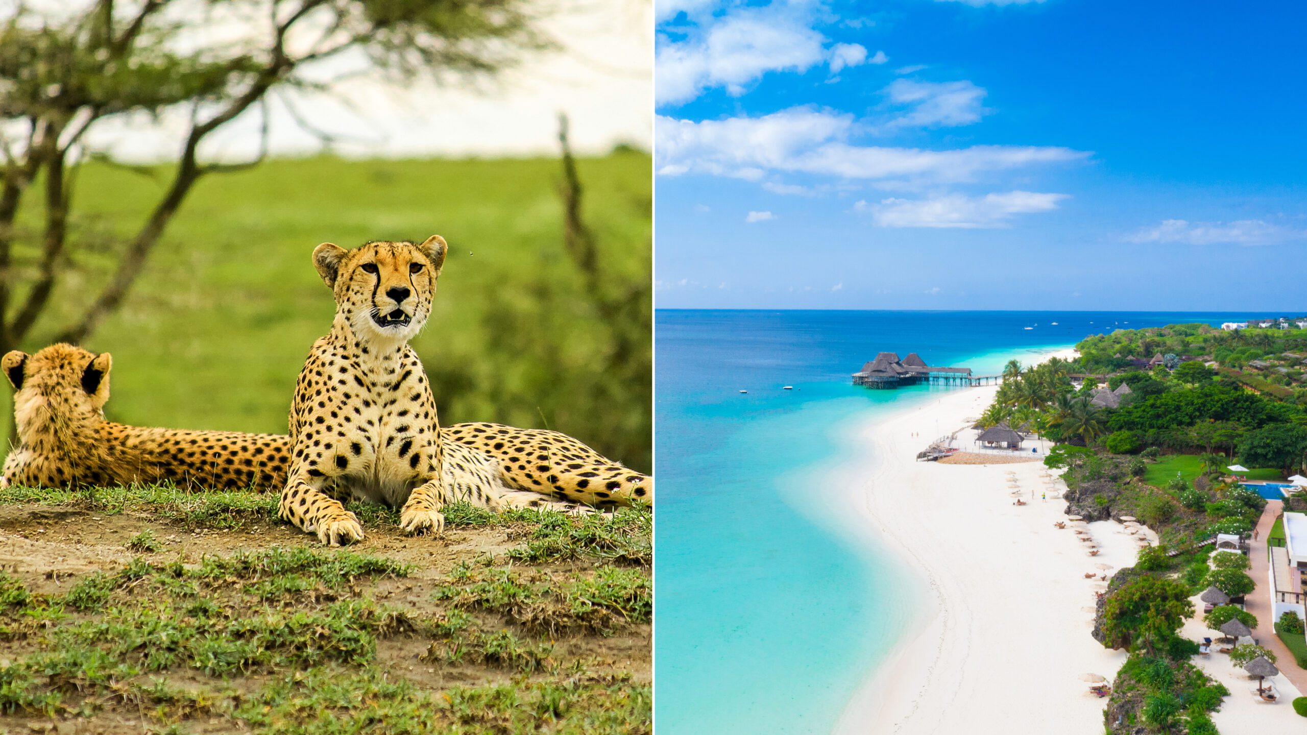 6 Days Zanzibar Beach & Safari Combination (Tanzania Mainland + Zanzibar)