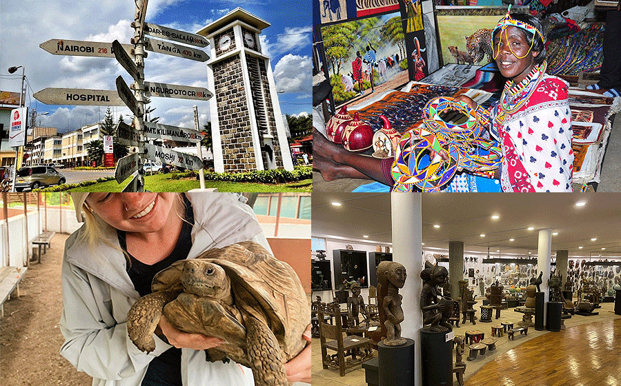 Activities in Arusha Prior to and Following a Safari