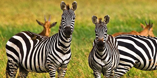 Burigi-Chato National Park Attractions