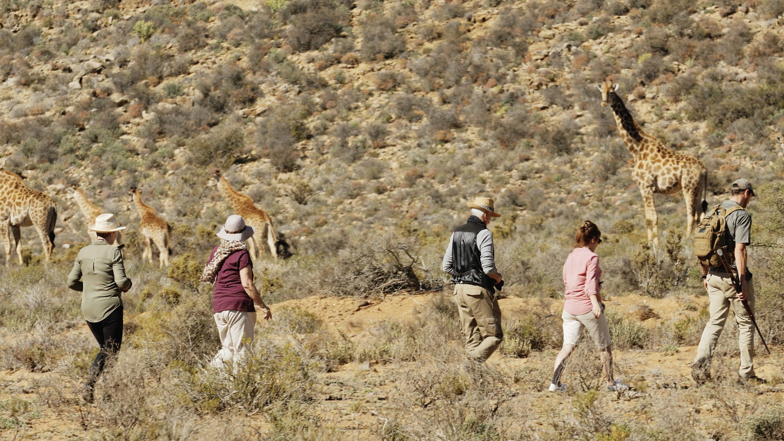 Discover Four Fascinating Aspects of Mkomazi National Park