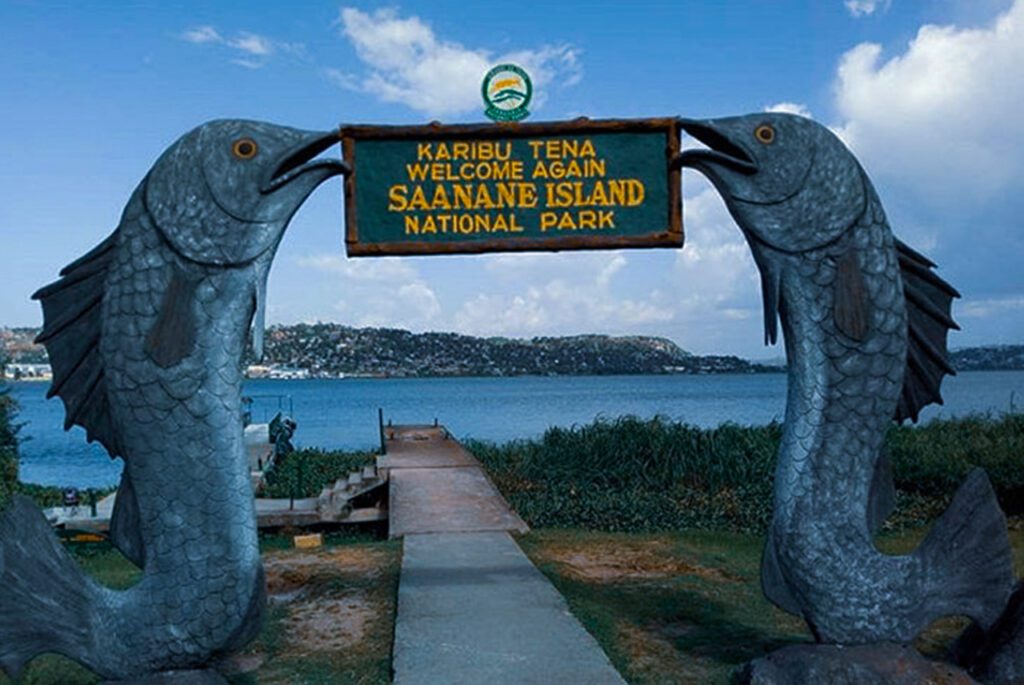 Discover Saanane Island National Park on a Day Trip.