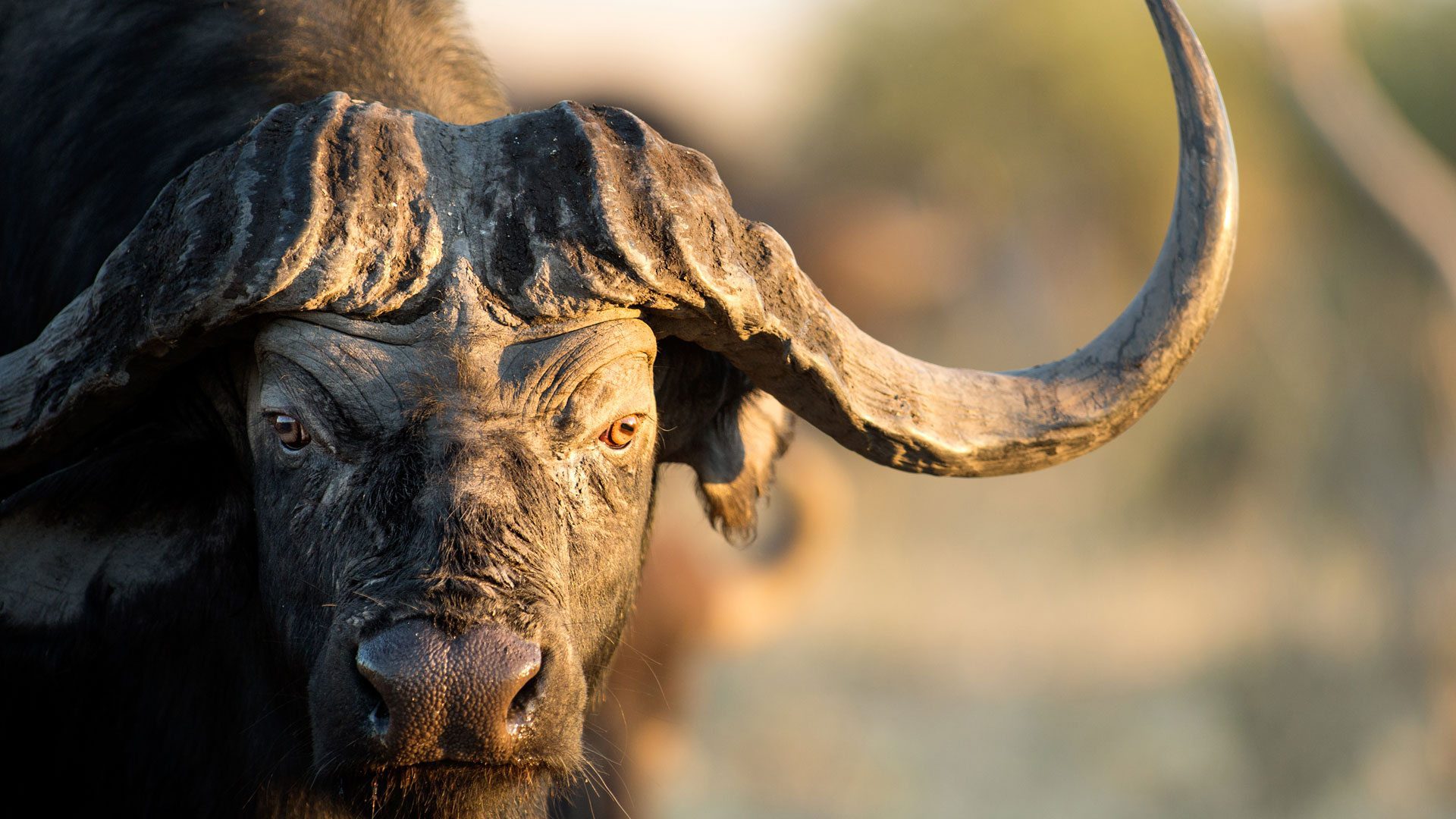 Discovering the Western Safari Circuit in Tanzania