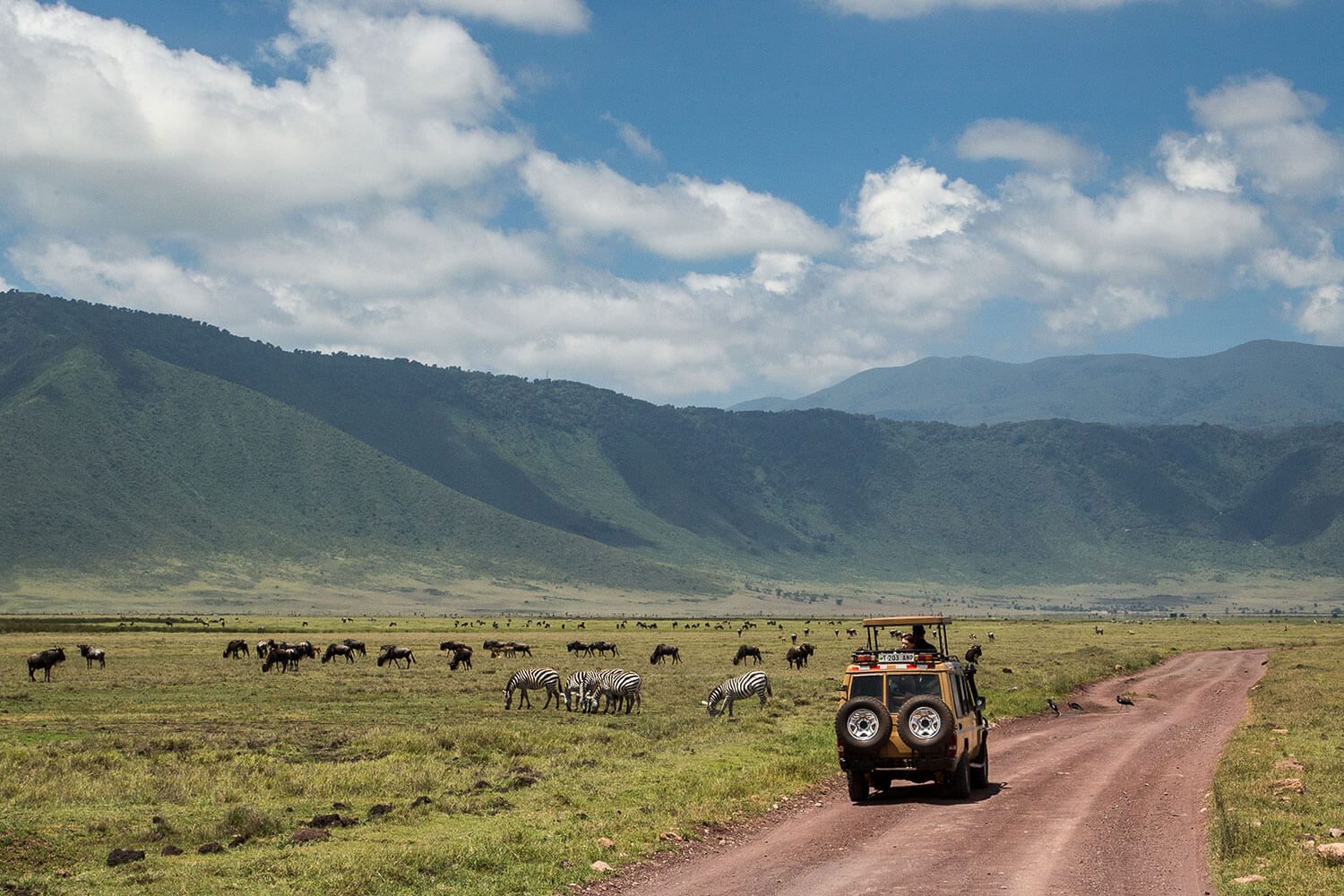 Enjoy the Ngorongoro Conservation Area with These 5 Activities!