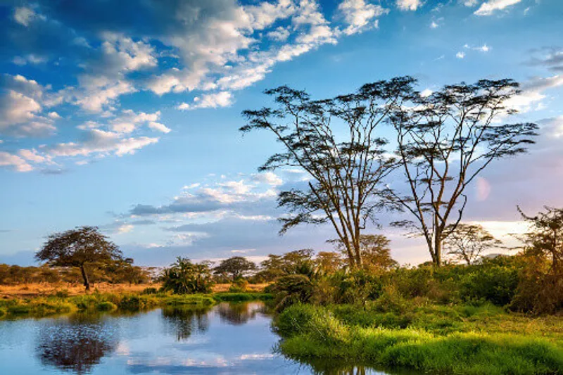 Experience the Ultimate Safari in Serengeti National Park in 2025!
