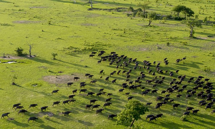 Explore the Southern Circuit of Tanzania