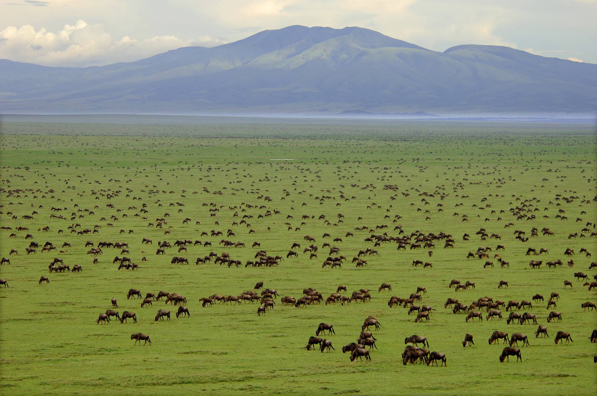 Geographic Areas Within Serengeti National Park