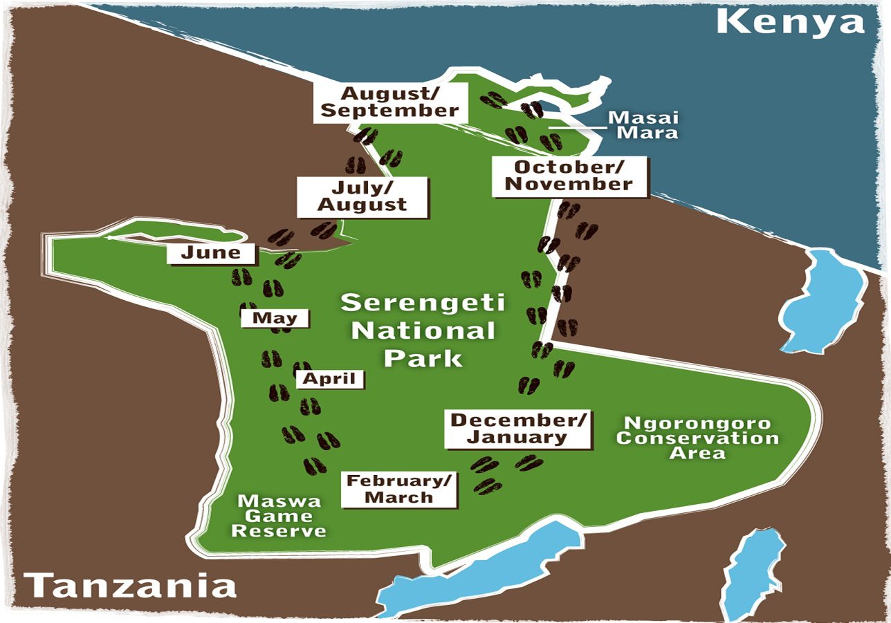 wildebeest migration map