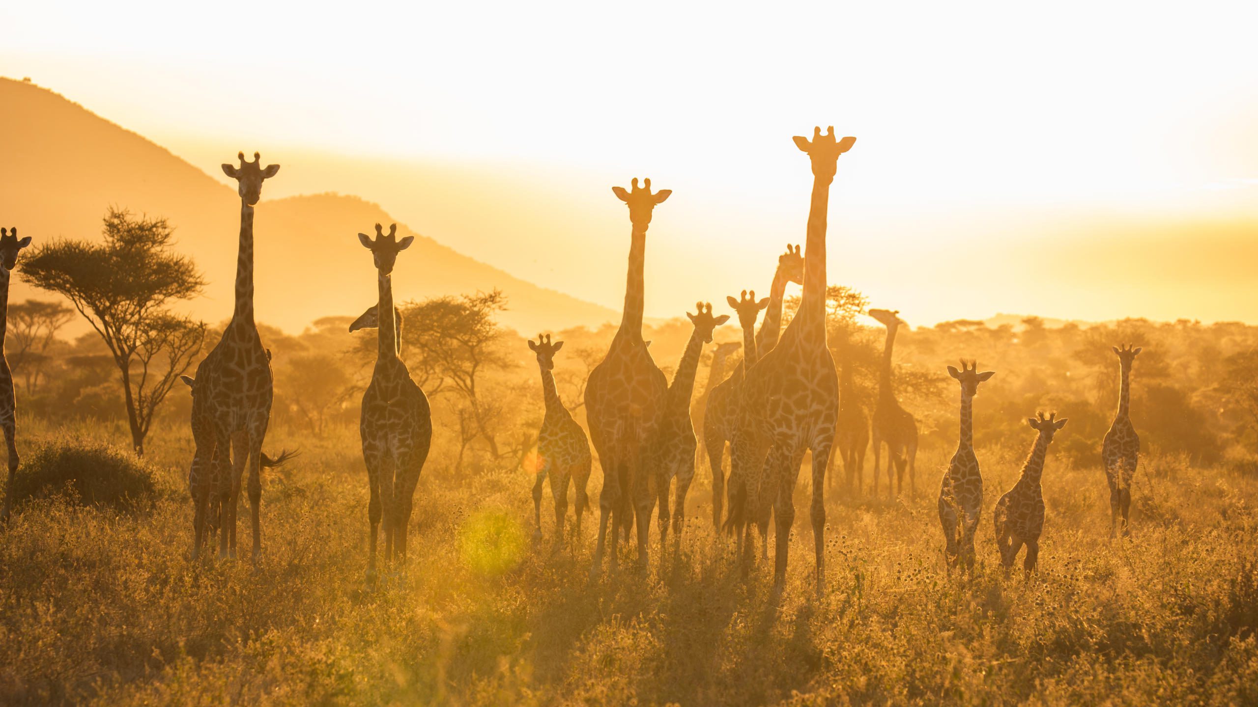 In September, what should one visit in Serengeti National Park?
