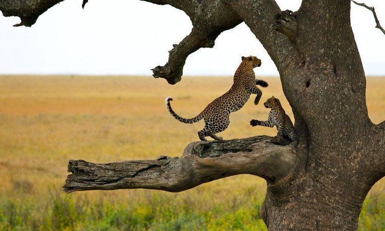 In September, what should one visit in Serengeti National Park?