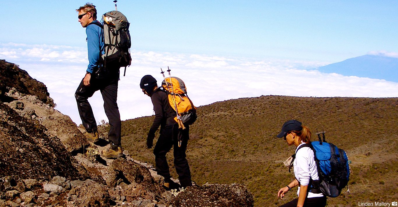 Investigating possible paths for climbing Kilimanjaro