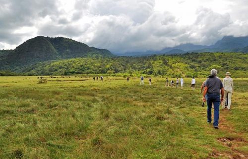 Katavi National Park: 7 Must-Do Activities