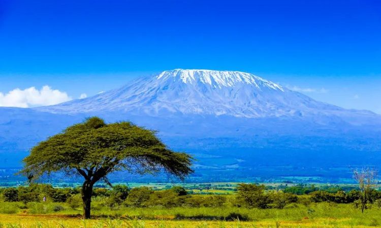 Kilimanjaro Climbing: Price and Routes.