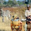 LUXURY SAFARI-RELATED QUESTIONS