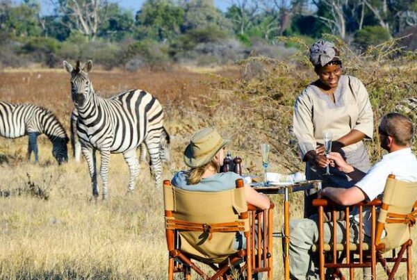 LUXURY SAFARI-RELATED QUESTIONS