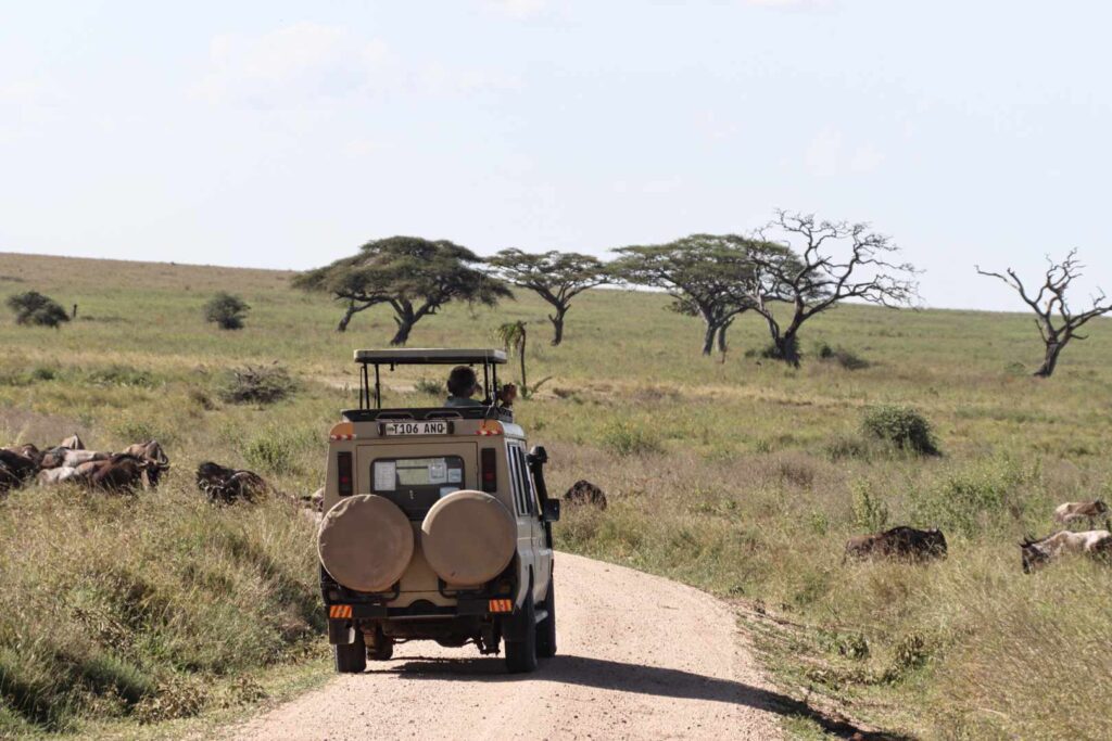 Methods for Making Tanzanian Park Admission Payments