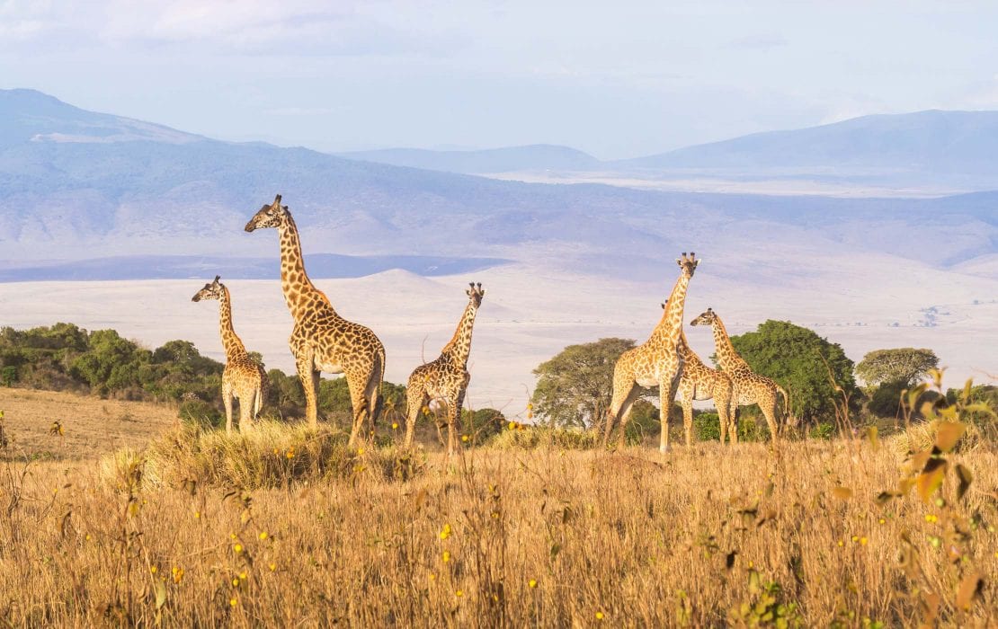 NGORONGORO CONSERVATION AREA