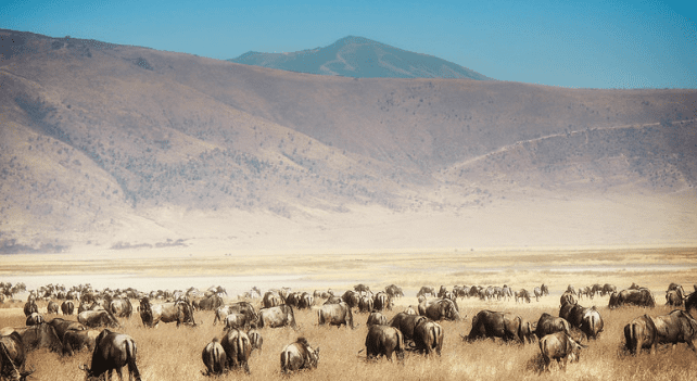 NGORONGORO CONSERVATION AREA
