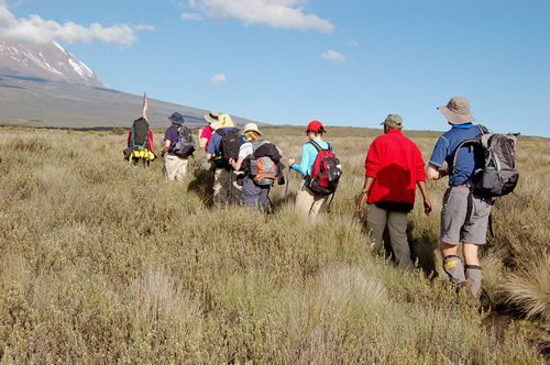 Peak Climbing Season on Kilimanjaro