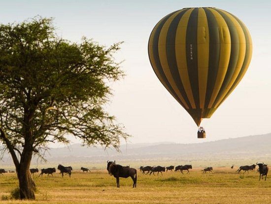 Reasons to Take a Balloon Ride Over the Serengeti