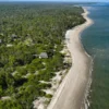 Saadani National Park: What to Do While There