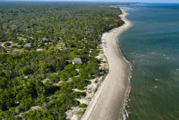 Saadani National Park: What to Do While There